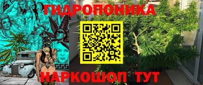 эйфоретик Нарткала