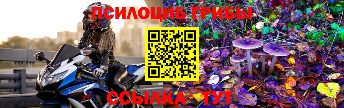 Галлюциногенные грибы MAGIC MUSHROOMS Топки