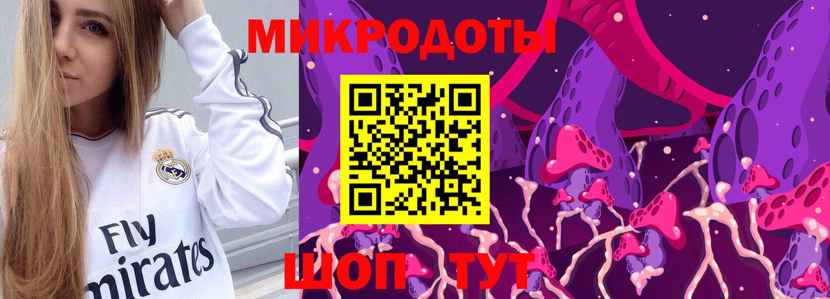 Топки  Псилоцибиновые грибы Psilocybe  Вход с VPN  Псилоцибиновые грибы мухоморы 